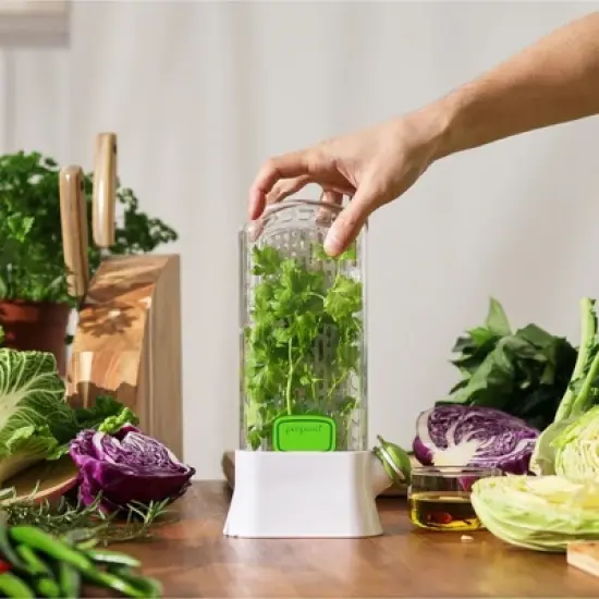 Prepara Herb Savor Deluxe Fresh Herb Keeper - BPA Free Plastic - Plant Hydration Container Prolongs Freshness Up to 3 Weeks, Dishwasher Safe (2-Pack) image {1}
