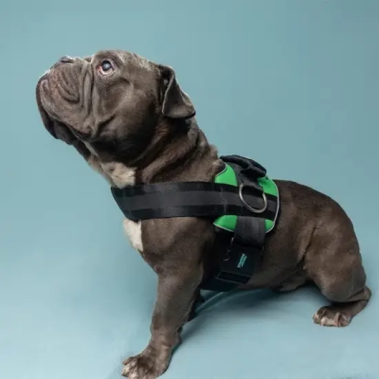 Joyride Harness Premium Advanced No Pull Dog Harness 2.0 image {14}