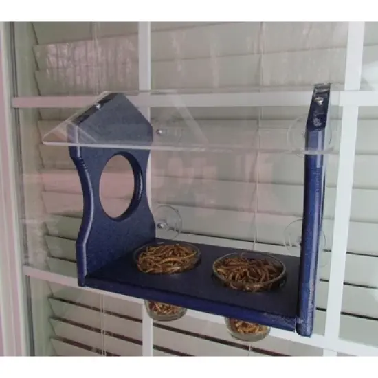JCs Wildlife Window Mount Bluebird Mealworm Feeder image {2}