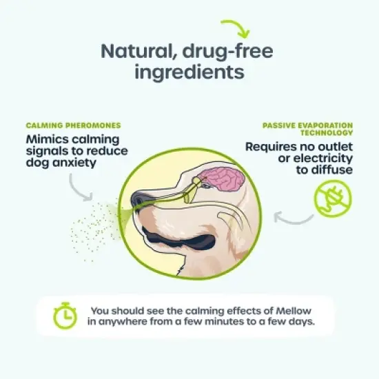 PetFriendly Calming Diffuser for Dogs image {3}