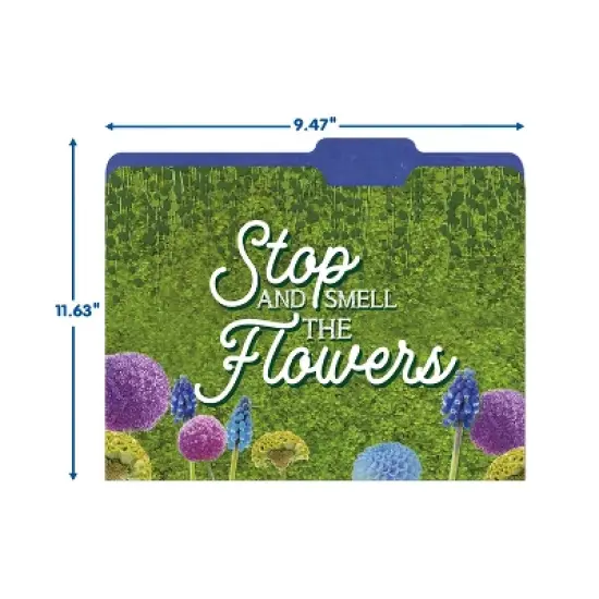 Eureka&reg; Curiosity Garden File Folders, 4 Per Pack, 6 Packs image {4}