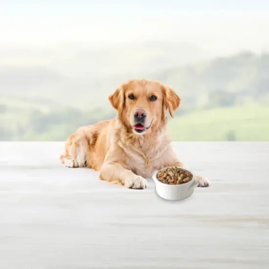 Blue Buffalo Blue's Stew Chicken & Beef In Gravy Wet Dog Food Variety Pack for Adult Dogs, Grain-Free - 12.5oz/6ct image {4}