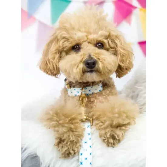 Pink Papyrus Drew Dog Collar image {2}