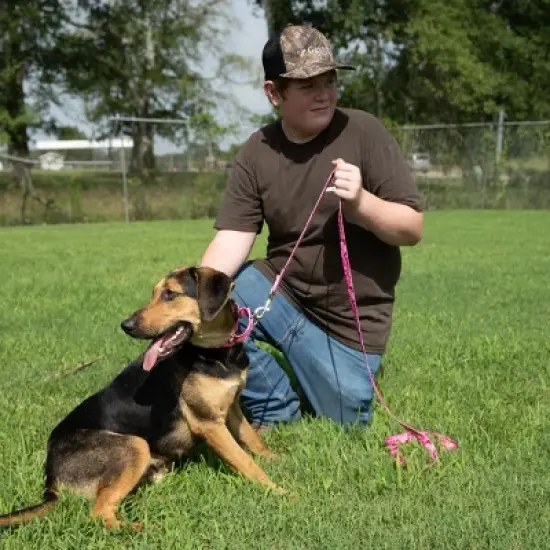 Country Brook Petz Pink Bone Camo Martingale Dog Collar and Leash image {2}