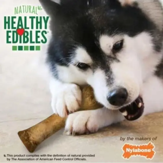 Nylabone Healthy Edibles Wholesome Roast Beef Flavor Dog Chews - Souper(1 Pack) image {1}