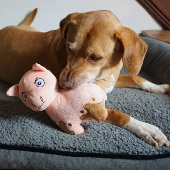 Bite Force Built with Kevlar Tough Plush Pig Dog Toy image {8}