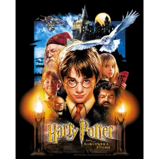 Boy's Harry Potter Sorcerer's Stone Movie Poster T-Shirt image {1}