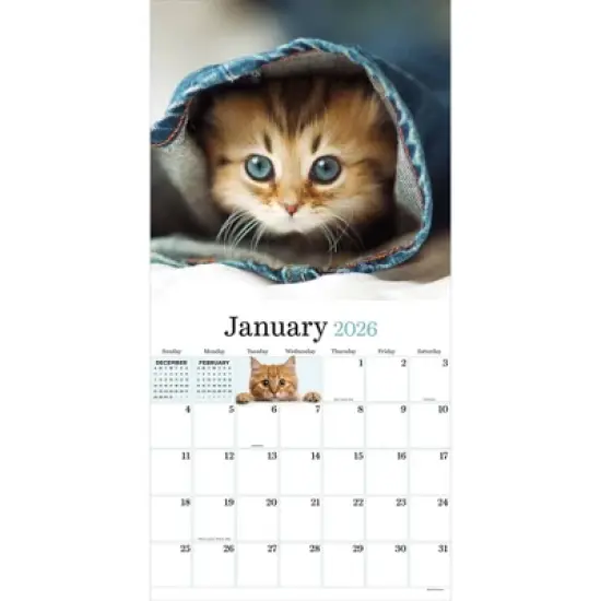 TF Publishing 13.5"x14.5" 2026 Kittens Wall Calendar image {5}