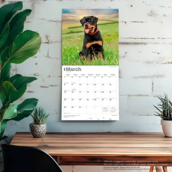 BrownTrout Rottweilers 2026 12"x24" Hanging Square Wall Calendar Plastic-Free image {4}