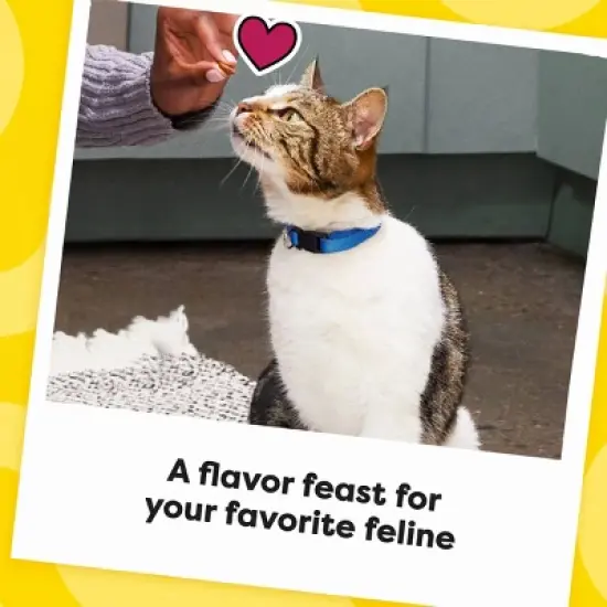 Temptations Tasty Human Haunted House with Chicken and Beef Flavor Halloween Cat Treats - 16oz image {6}