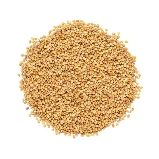 Organic Clover Sprouting Seeds - by Food To Live image {8}