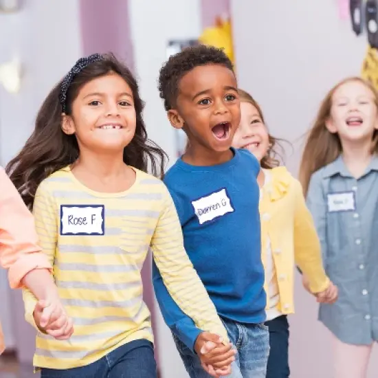 Avery Customizable Name Tags, 2-1/3" x 3-3/8", White with Blue Border, 6 Packs of 100, 600 Removable Name Badges Total (44144) image {7}