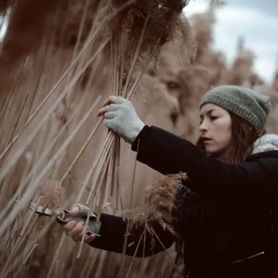 Barebones Pruner image {3}