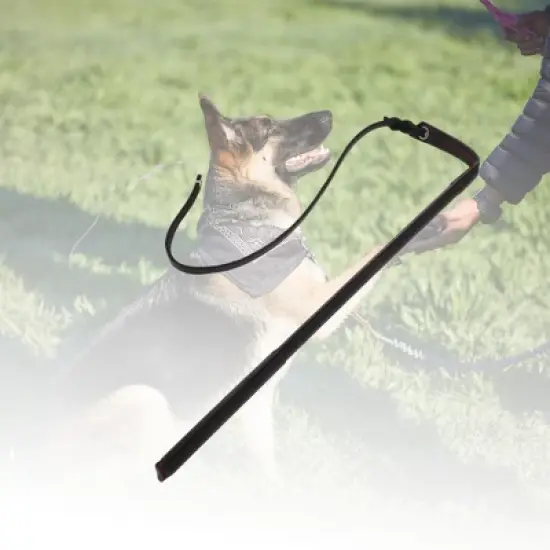 Unique Bargains Dog Training Whip 20.87" Rod Length Black 1 Pc image {2}