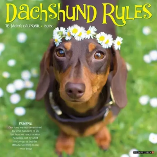 Willow Creek Press 12"x12" 2026 Dachshund Rules Wall Calendar image {5}