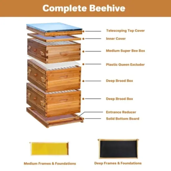 10-Frame Langstroth Bee Hive Coated with Beeswax, Complete Beehive Starter Kit with 2 Deep & 1 Medium Boxes image {2}