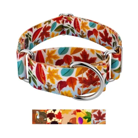 Country Brook Petz HossFit Jr Wide Martingale Dog Collar - Awesome Autumn Collection image {7}