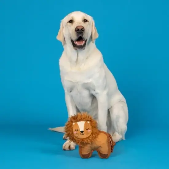 PetShop by Fringe Studio Lion Durable Dog Plush Toy image {2}