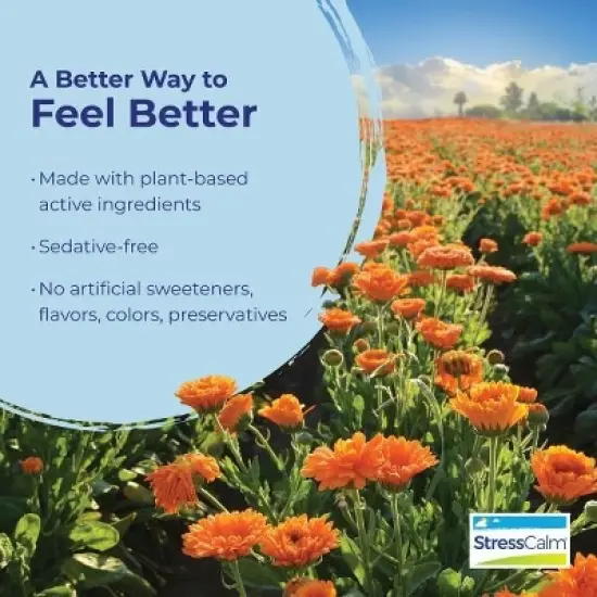 StressCalm by Boiron Homeopathic Medicine For Stress Relief  -  60 Tablet image {7}