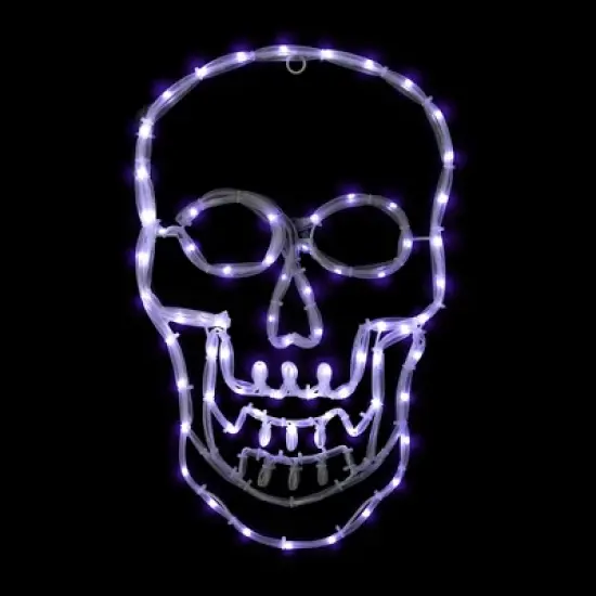 Northlight LED Lighted 4 Function Skull Halloween Window Decoration - 18" image {1}