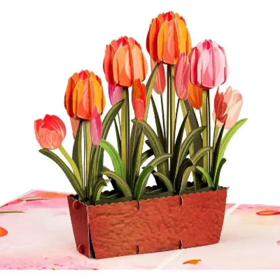 Frndly by Paper Love 3D Tulip Plant Pop Up Card, For All Occasion - Handcrafted 100% Recycled and Eco-Friendly, 8" x 6" Cover image {7}