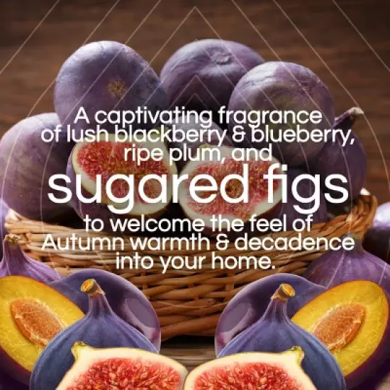 Air Wick Vibrant Scented Oil Air Freshener Refills - Sugarplum & Fig - 1.34 fl oz/2pk image {3}