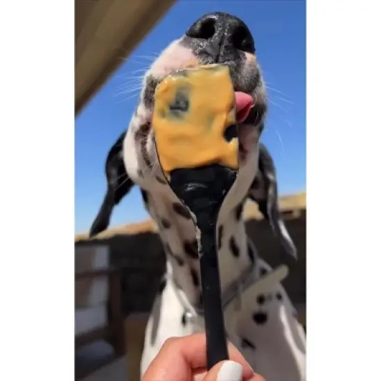 Bow-Wow Blueberry Buddy Budder (17oz) image {5}