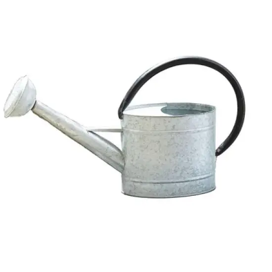 Tierra Garden Oval Aged Zinc Watering Can image {3}