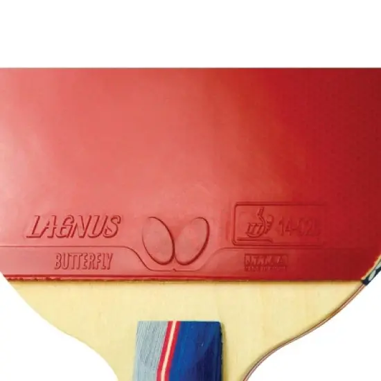 Butterfly RDJ CS-2 Penhold Racket image {2}