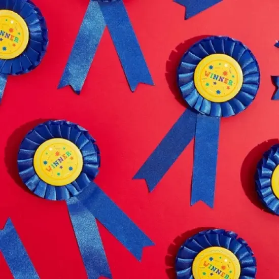 Blue Panda 12 Pack Blue Rosette Award Ribbons Set, Winner for Arts and Crafts (3 x 6 Inches) image {1}