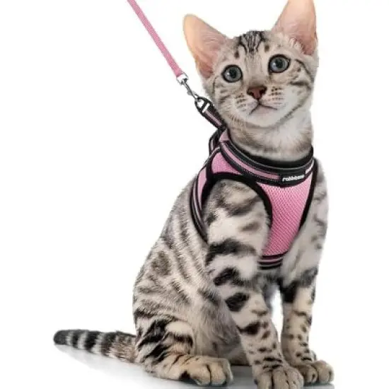 rabbitgoo Cat Harness and image {4}
