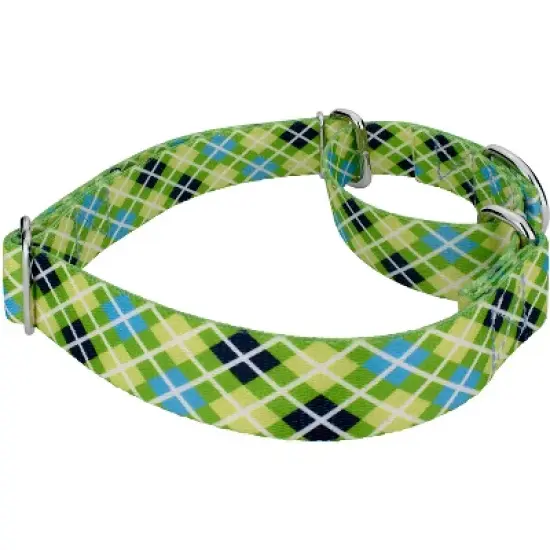 Country Brook Petz Margarita Argyle Martingale Dog Collar and Leash image {4}
