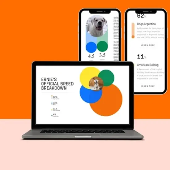 DNA My Dog Premium Dog Breed ID Test Kit image {4}