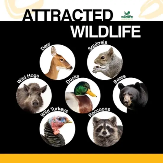 Wildlife Elements Critter Corn, Natural Whole Shelled Corn for Wildlife, USA Sourced, 44lb image {2}