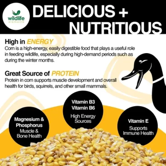 Wildlife Elements Critter Corn, Natural Whole Shelled Corn for Wildlife, USA Sourced, 44lb image {3}