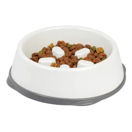 IRIS USA Slow Feeding Bowl for Pets image {1}