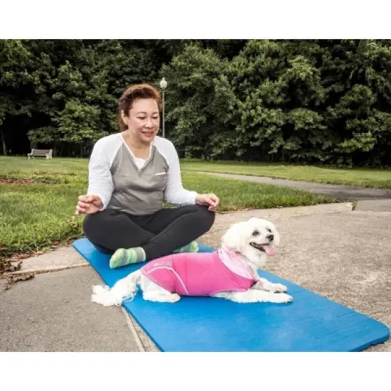 Pet Life Active Pull-Rover Premium 4-Way Stretch Two-Toned Sleeveless Hoodie Dog and Cat T-Shirt - Pink image {9}