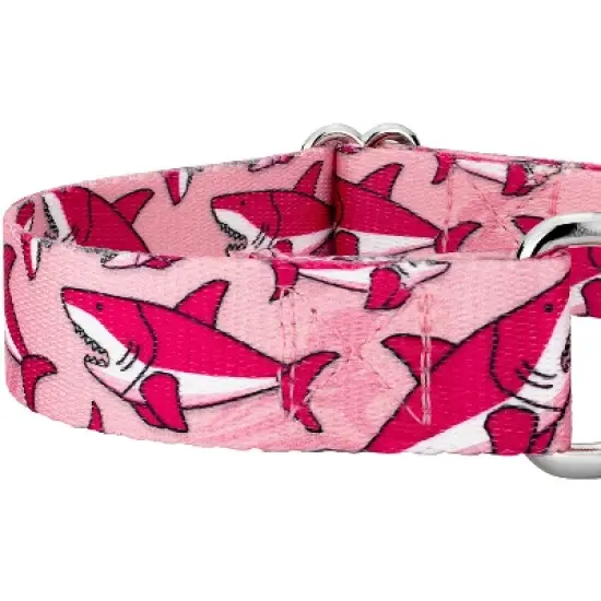 Country Brook Petz Pink Sharks Martingale Dog Collar and Leash image {3}
