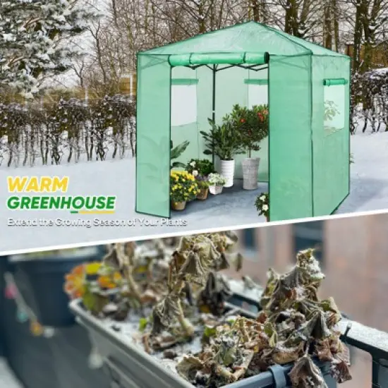 EAGLE PEAK 7'x7' Pop up Greenhouse with 2 Foldable Shelves, Zipper Entry Door and 3 Mesh Windows, Green image {4}