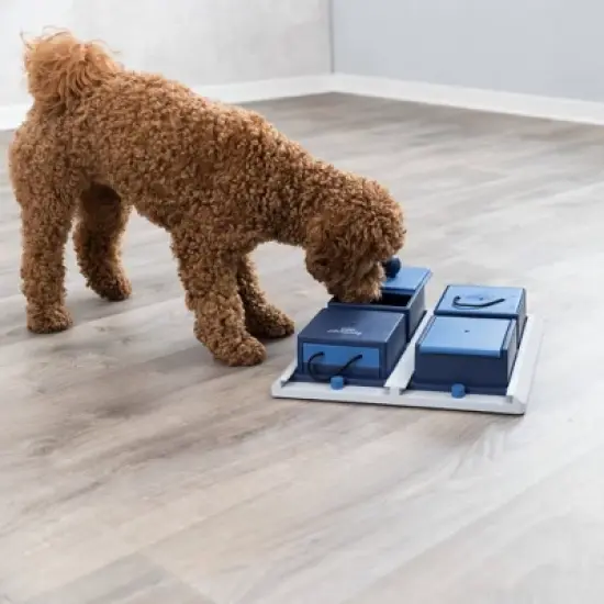 TRIXIE Poker Box Pet Toy - Level 2 image {2}