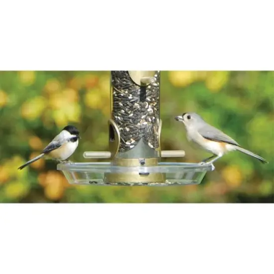 Aspects Round Plastic Seed Tray for Bird Feeders, Clear, 8.5in Diameter image {2}