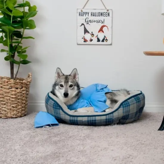 Midlee Scrubs Dog Costume (Medium) image {4}