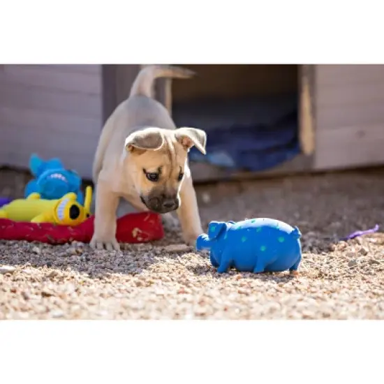 Multipet Latex Polka Dot Pig Dog Toy - Blue - 9" image {4}