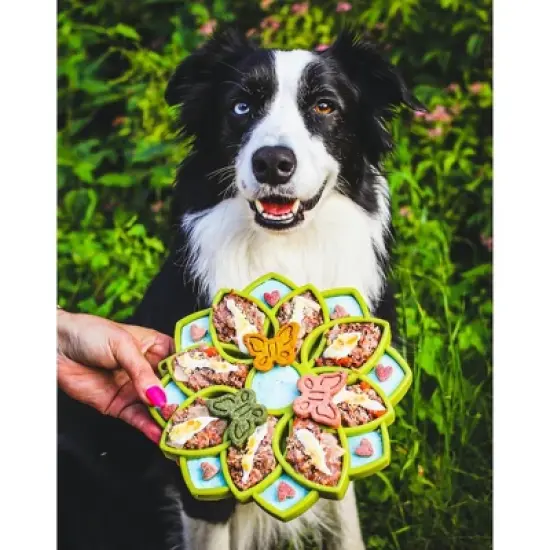 Mandala Design eTray Enrichment Shallow Slow Feeder Dog Bowl image {4}