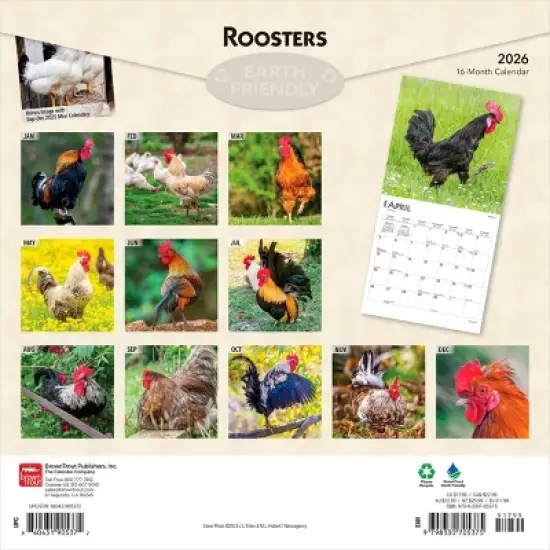 BrownTrout Roosters 2026 12"x24" Hanging Square Wall Calendar Plastic-Free image {1}