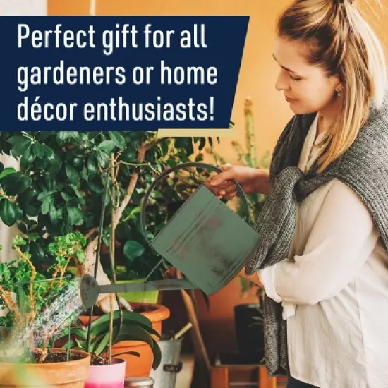 Kings County Tools Copper-Plated 1Gal Watering Can image {4}