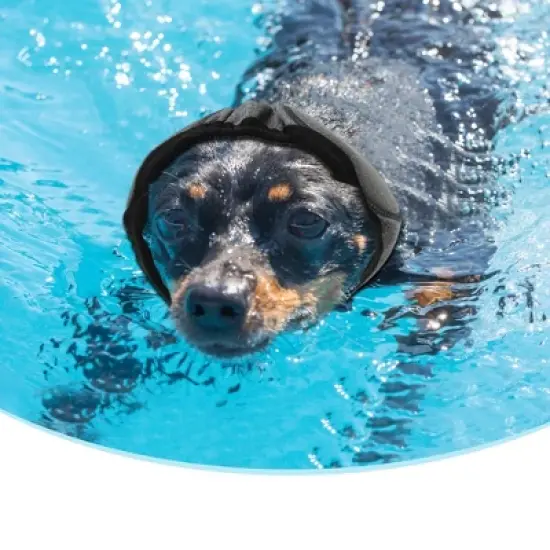 Unique Bargains Dog Ear Cover Gray 1 Pc image {4}