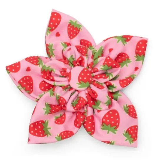 The Worthy Dog Strawberries Adjustable Flower Accessory image {3}