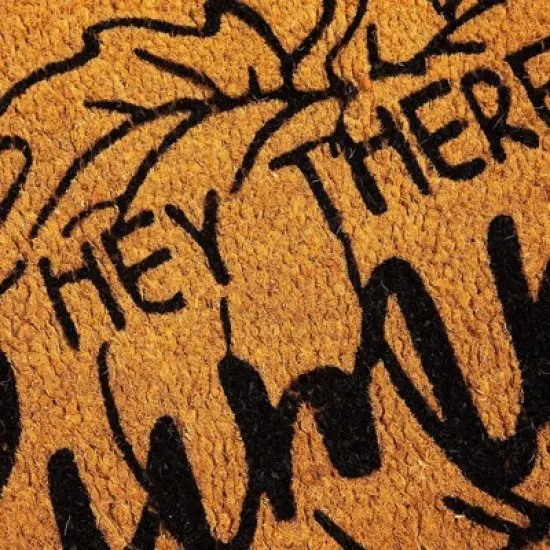 Juvale Hey Natural Coir Welcome Door Mat, Hey There Pumpkin Fall decor, 30 x 17 Inches image {4}