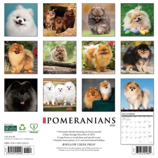 Willow Creek Press 2026 Pomeranians Wall Calendar image {1}